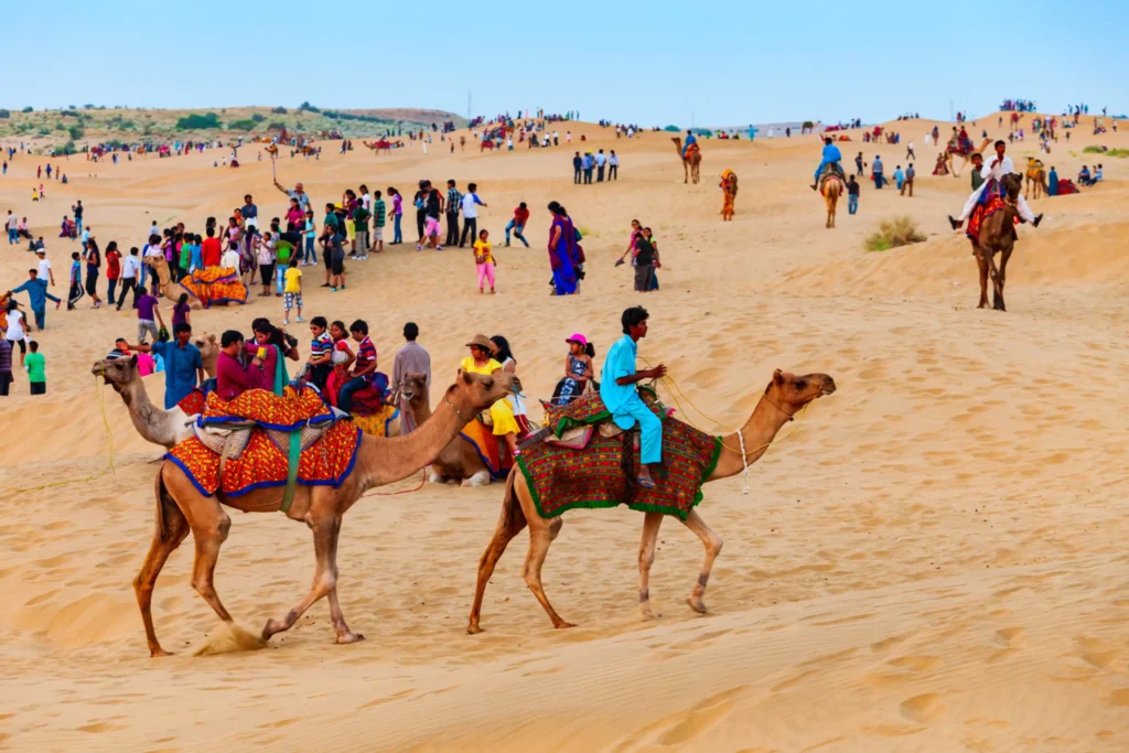 Camel_trekking_dubai