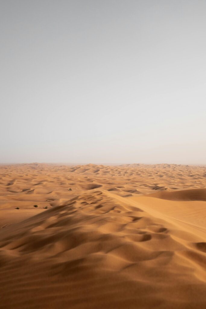 sunrise desert safari Dubai