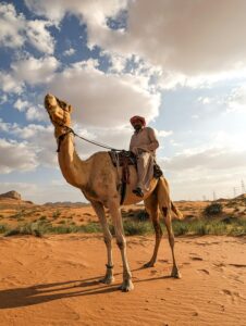alt="Tourist boarding a 4x4 vehicle for Dubai overnight desert safari pickup