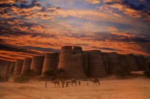 Liwa Safari